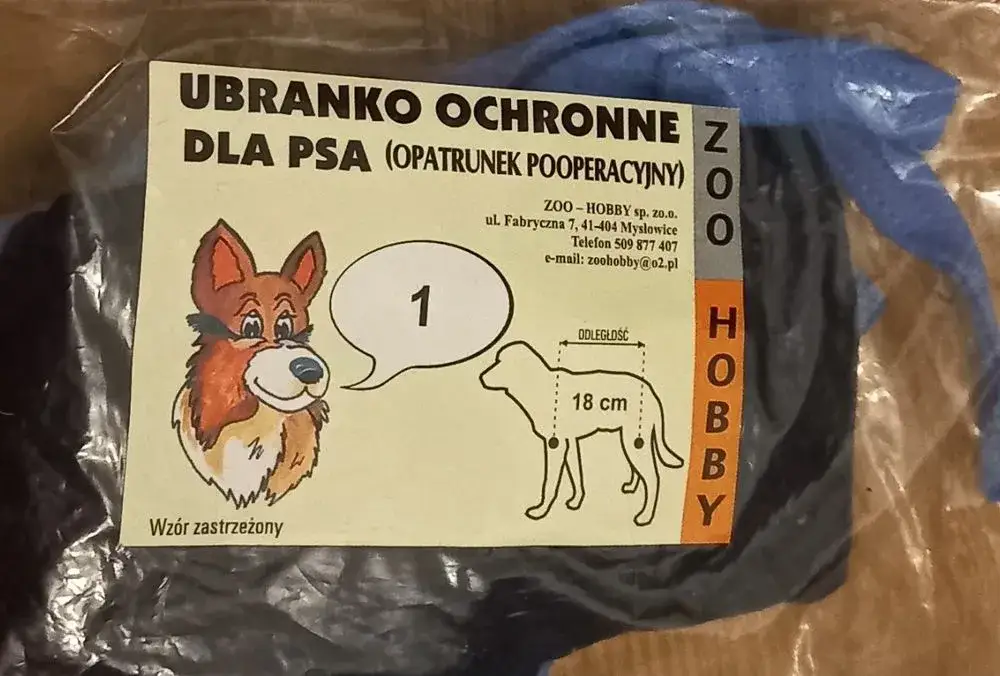 Zdjęcie Gdzie kupić ubranko pooperacyjne dla psa i uniknąć nieprzyjemności