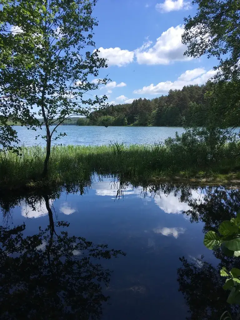 Zdjęcie Jezioro Dąbrowskie: piękne miejsce na relaks i wędkowanie w Kaszubach