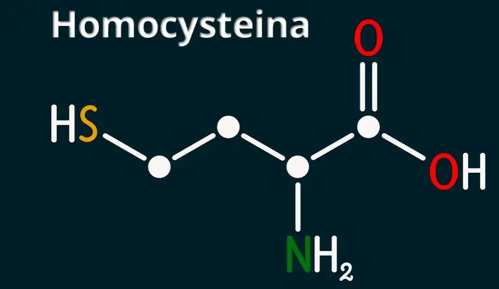 Zdjęcie Dlaczego Podwyższony Poziom Homocysteiny Jest Groźny Dla Zdrowia? Przyczyny, Skutki i Jak to Leczyć