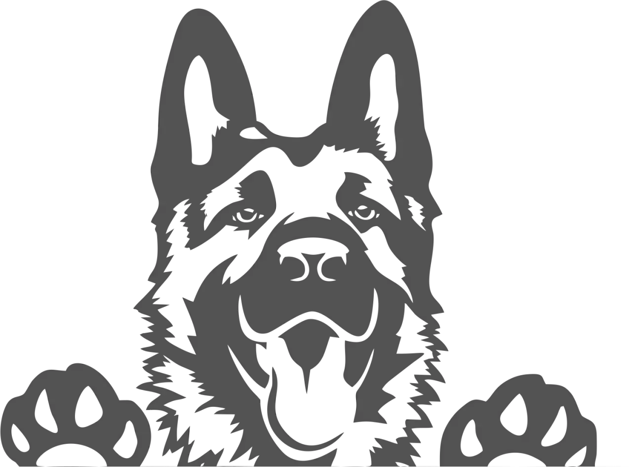 Zdjęcie Ile kosztuje psi hotel? Sprawdź ceny i ukryte opłaty dla ps&oacute;w