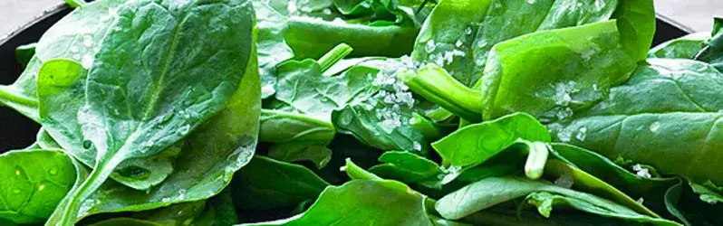 Zdjęcie Pomysły na obiad ze szpinakiem, które zachwycą Twoje podniebienie