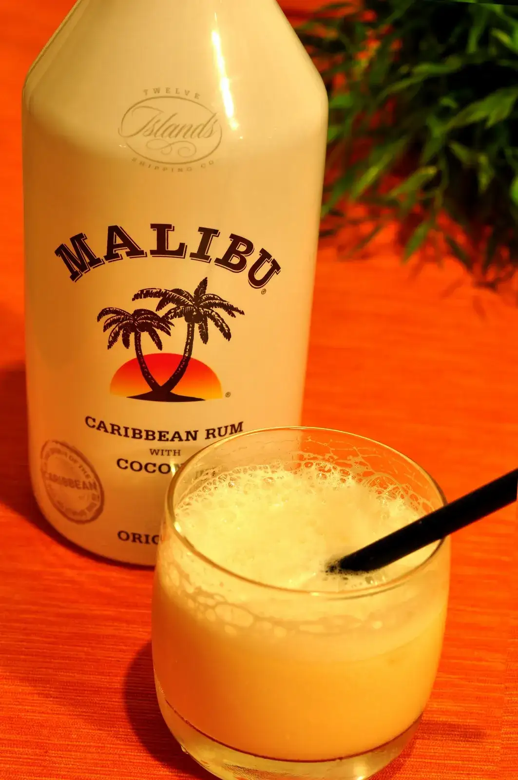 Zdjęcie Proste i pyszne drinki z Malibu i mlekiem – przepisy i porady dla każdego