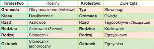 Zdjęcie Co to jest systematyka w biologii i dlaczego jest kluczowa dla nauki o życiu