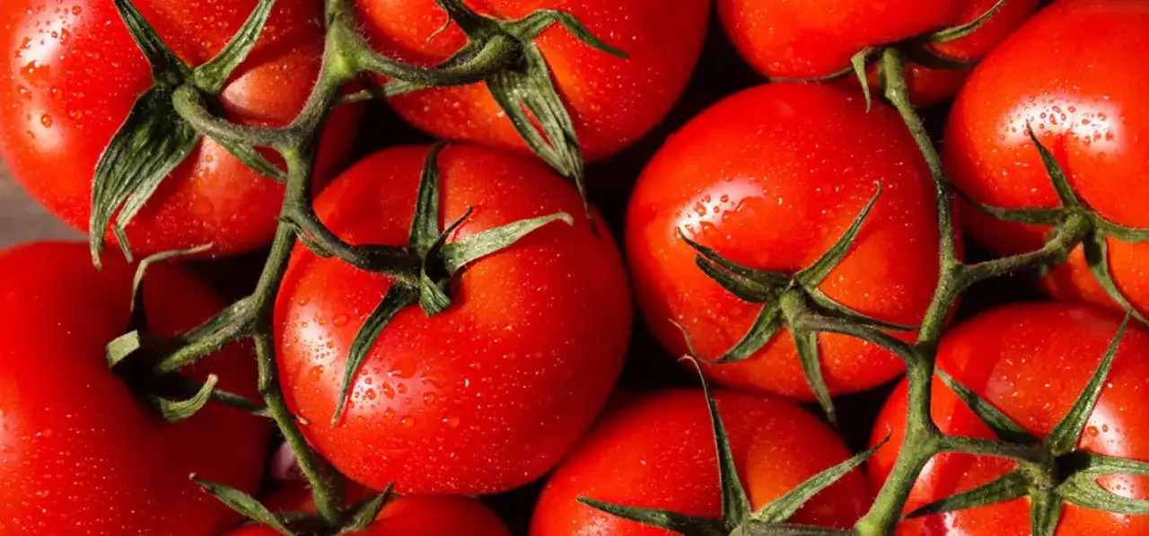 Zdjęcie Skutki uboczne likopenu: co musisz wiedzieć o jego działaniu