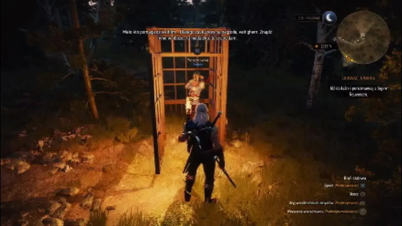 Zdjęcie Elfy w świecie Wiedźmina: Przyjaciele czy niebezpieczni wrogowie?