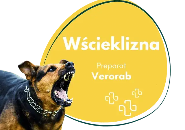Zdjęcie Skutki uboczne szczepienia na wściekliznę: co musisz wiedzieć?
