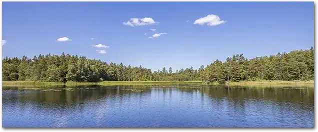 Zdjęcie Odkryj fascynujące możliwości wędkarstwa w Szczecinku - Idealne miejsce dla pasjonatów!