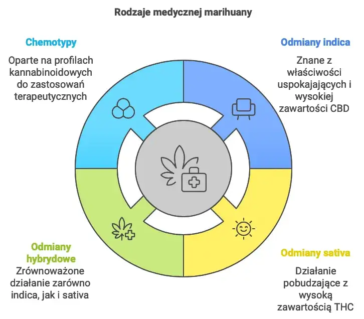 Zdjęcie Czy medyczna ma THC? Odkryj stężenia i skutki terapeutyczne