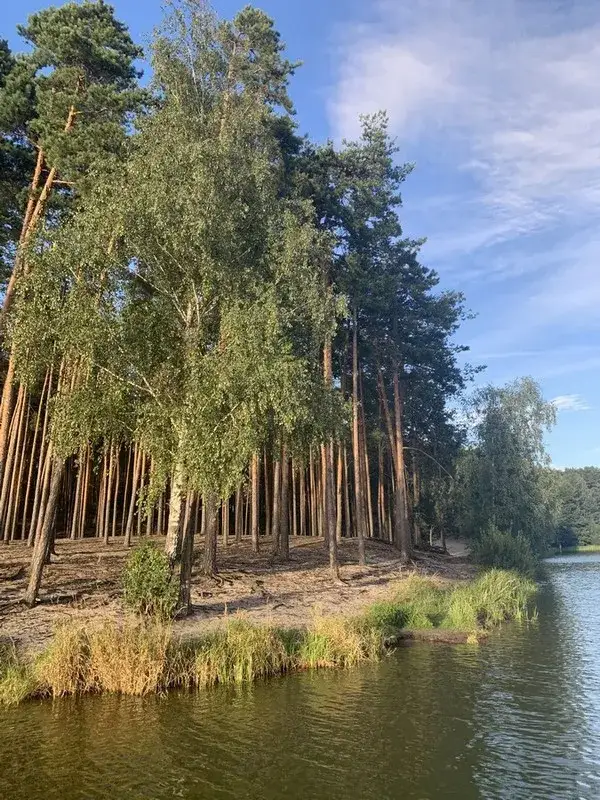 Zdjęcie Kobyla Góra atrakcje, które zaskoczą każdego turystę w regionie