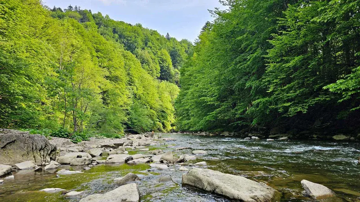 Zdjęcie Rezerwat przyrody Sine Wiry - odkryj ukryte skarby Bieszczad