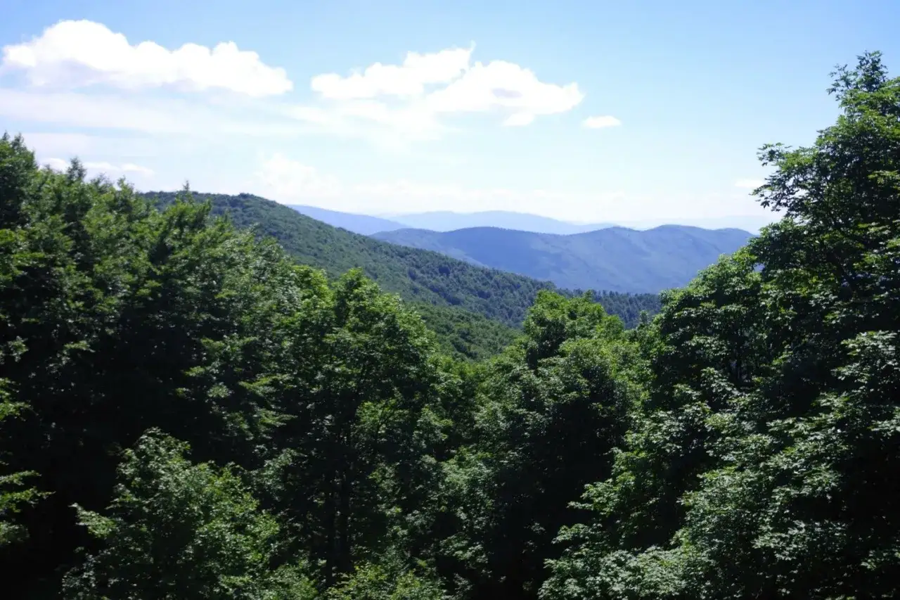 Zdjęcie Rezerwaty przyrody Podkarpacie - odkryj niezwykłe miejsca i atrakcje