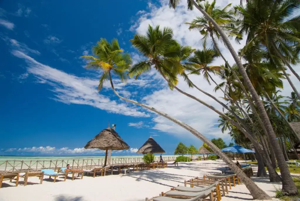 Zdjęcie Ile godzin trwa lot na Zanzibar? Sprawdź, jak długo lecisz z Polski i Europy