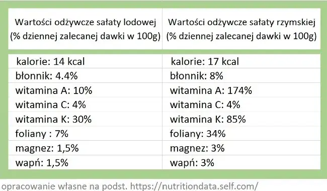Zdjęcie Ile kalorii ma sałata lodowa w różnych porcjach - kompletny poradnik