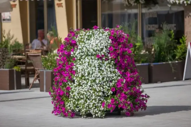 Zdjęcie Jak zrobić kwietnik kaskadowy - krok po kroku z materiałami i wskazówkami