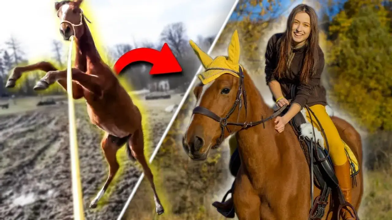 Zdjęcie Filmy o koniach po polsku, które musisz zobaczyć - emocje i przygody