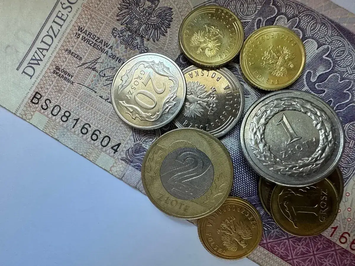 Zdjęcie Ile wynosi dochód na osobę do rodzinnego? Sprawdź, czy się kwalifikujesz