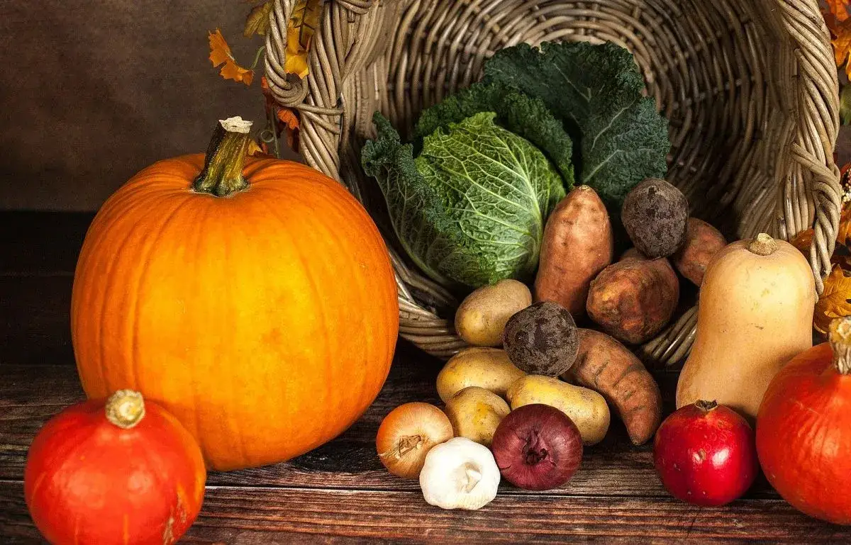 Zdjęcie Jak mrozić dynię dla niemowlaka? Prosty sposób na zdrowe posiłki