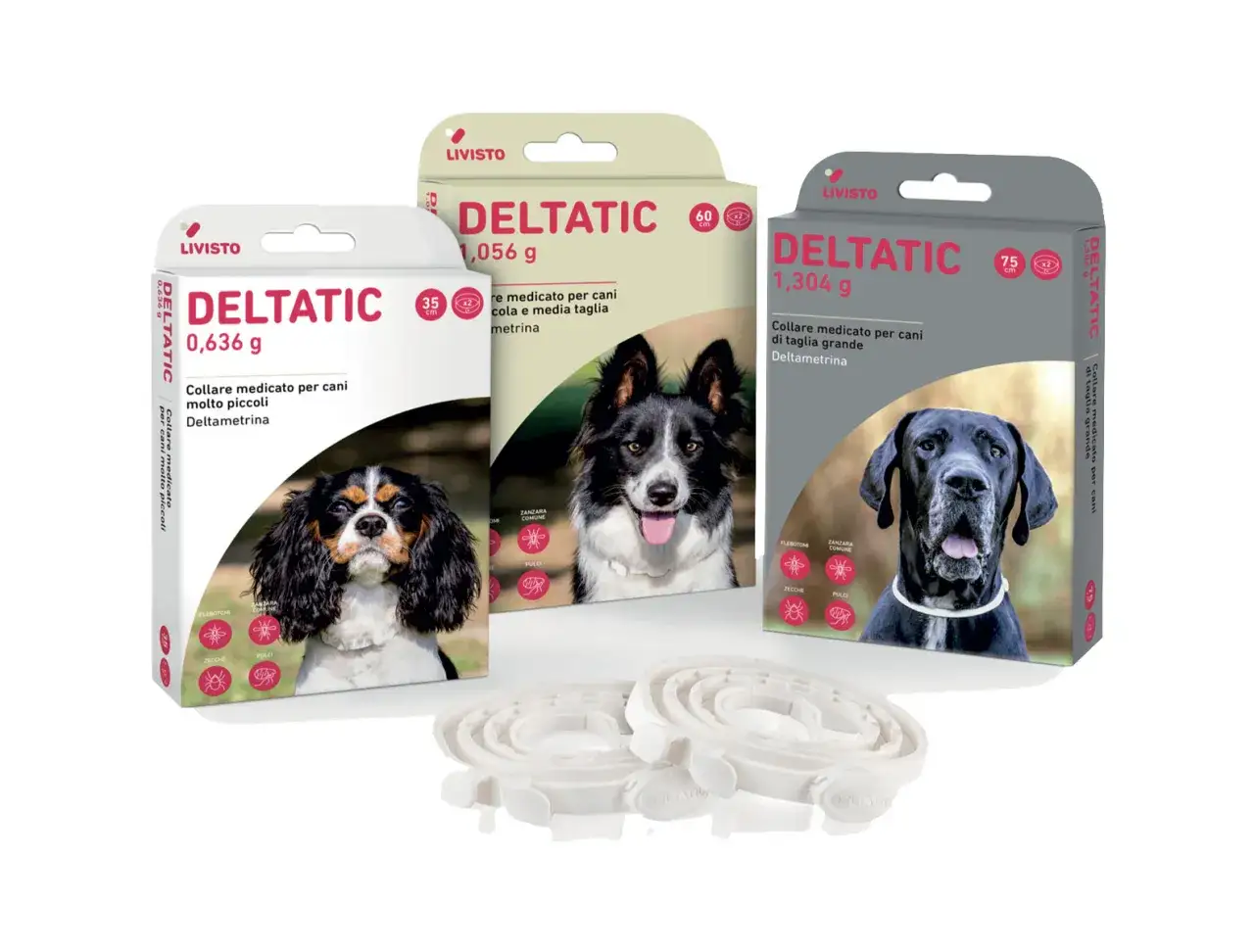 Zdjęcie Obroża na kleszcze dla psa od kiedy? Bezpieczne stosowanie dla szczeniąt