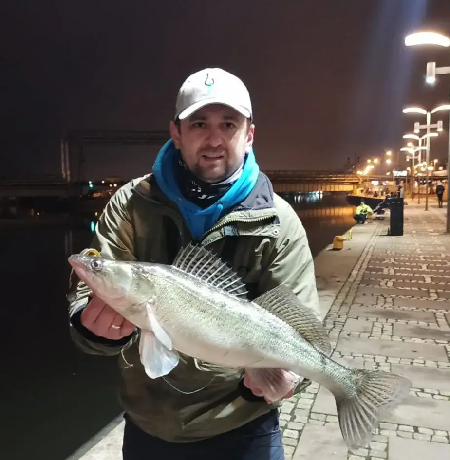 Zdjęcie Najlepsze przynęty na sandacza z gruntu, które zwiększą Twoje szanse na sukces