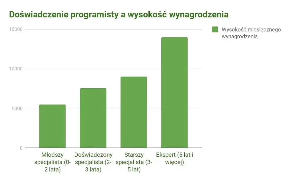 Zdjęcie Ile zarabia programista senior? Zaskakujące różnice w wynagrodzeniach