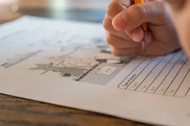 Zdjęcie Angielski w matematyce: skuteczne metody nauczania i korzyści