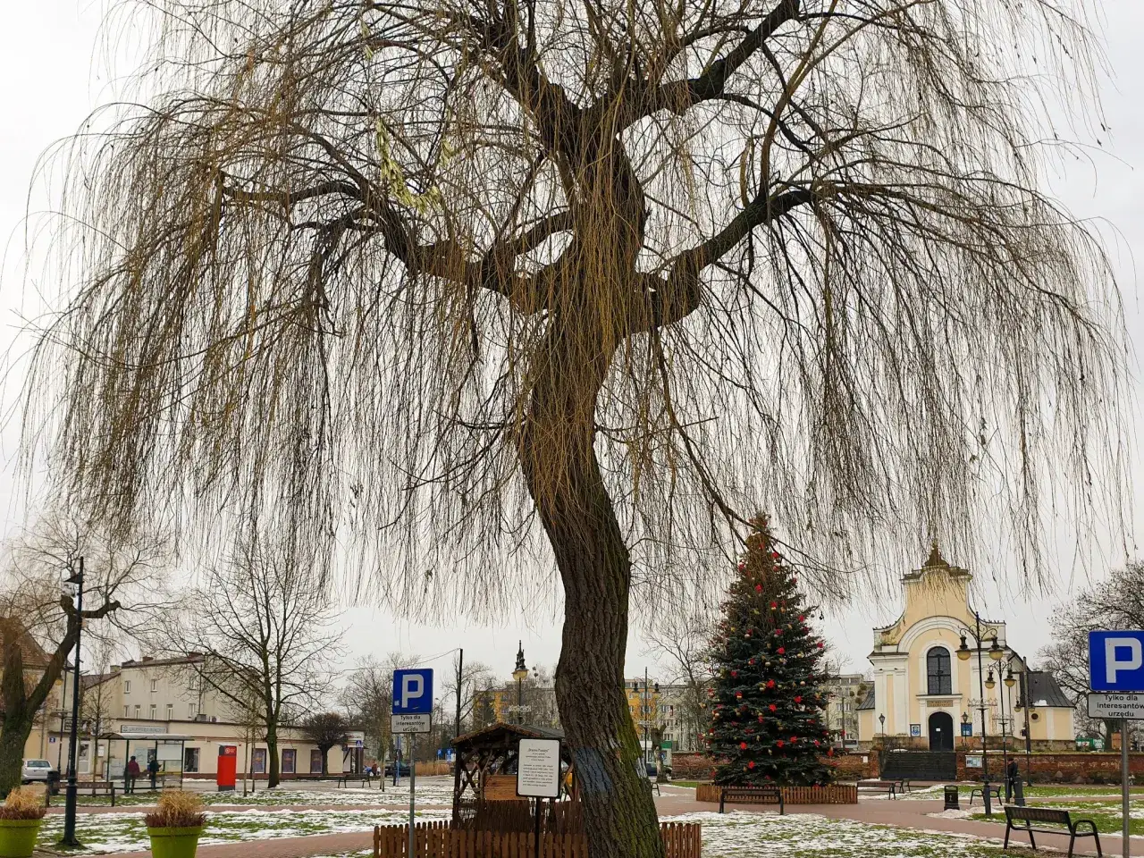 Zdjęcie Najpiękniejsze miejsca w Górze Kalwarii, które musisz zobaczyć
