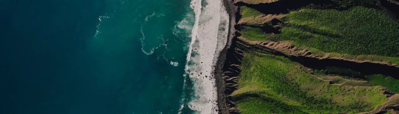 Zdjęcie Towarzystwo funduszy inwestycyjnych co to i jak chroni Twój kapitał