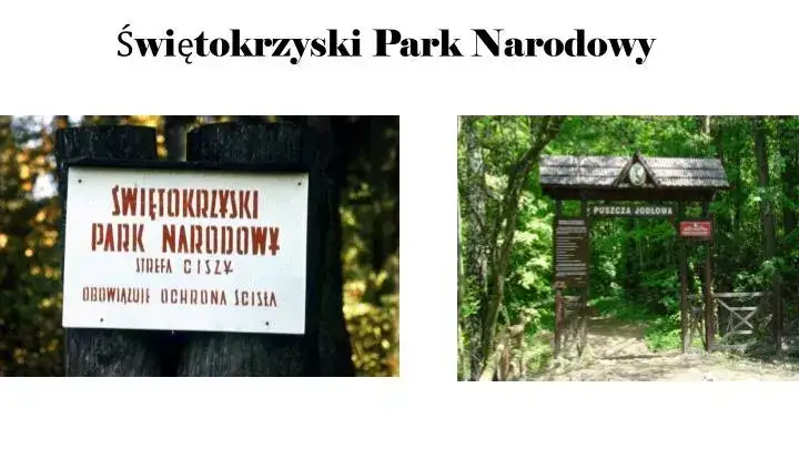 Zdjęcie W którym roku powstał Świętokrzyski Park Narodowy i co warto wiedzieć?