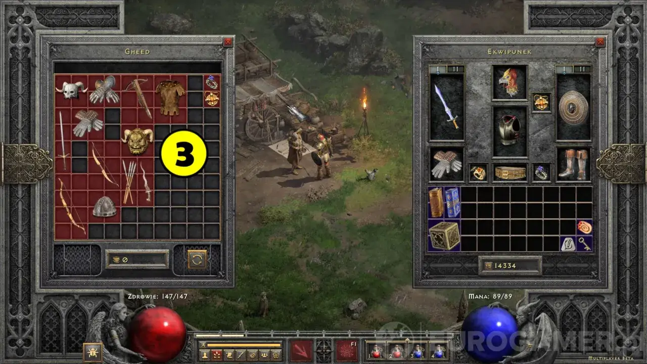 Zdjęcie Hazard w Diablo 2: jak mądrze kupować przedmioty i unikać strat