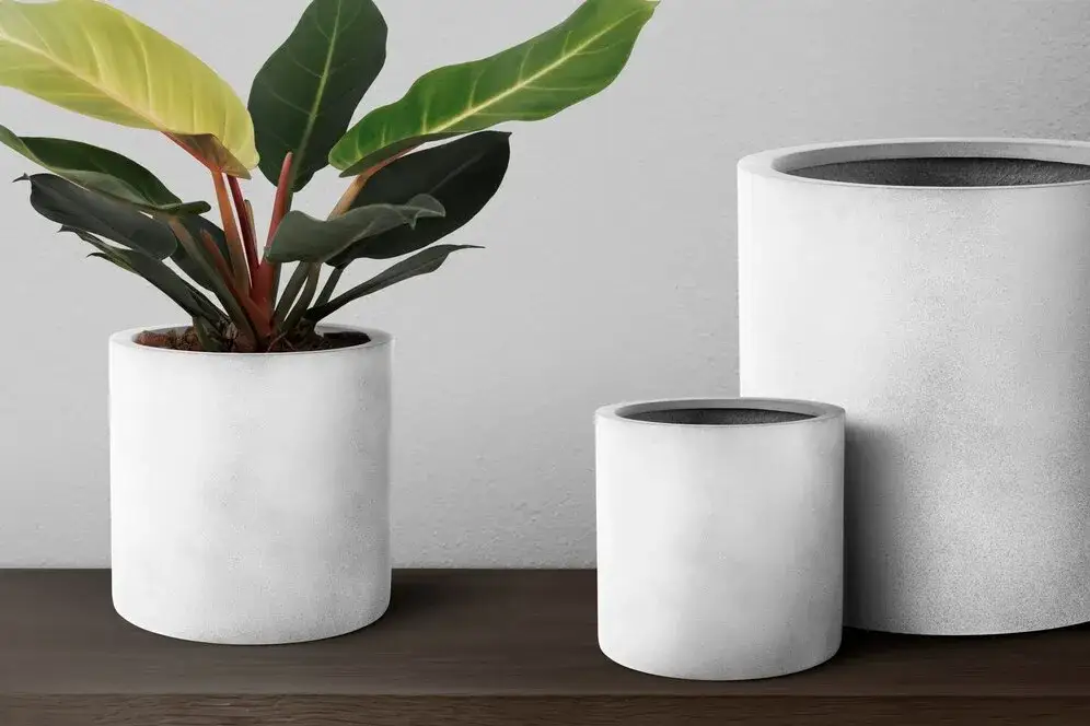 Zdjęcie Jak zrobić donice ze styropianu i betonu, aby ozdobić swój ogród?