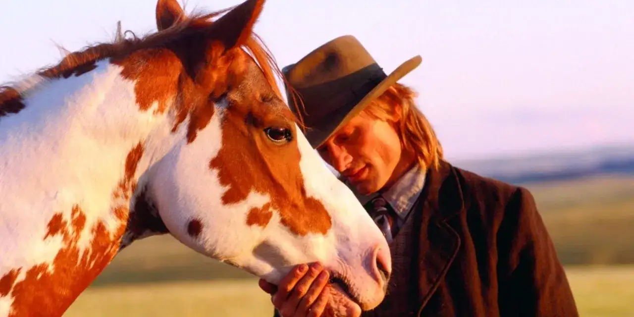 Zdjęcie Najlepsze filmy o koniach na Netflix, które musisz zobaczyć