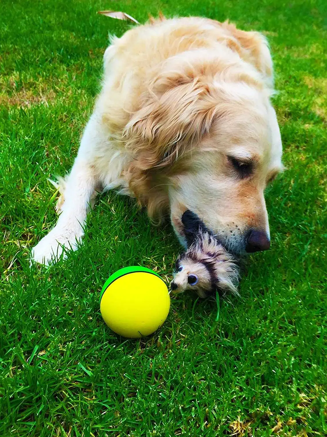 Zdjęcie Inteligentna uciekająca zabawka dla psa i kota – radość i ruch w zabawie