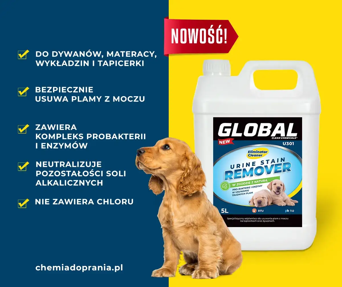 Zdjęcie Jak usunąć mocz z kanapy? Skuteczne metody na plamy i zapachy