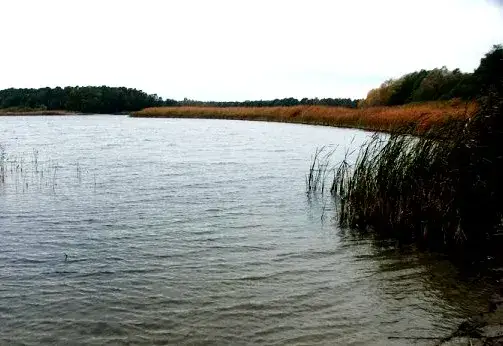 Zdjęcie Jezioro Jezuickie – piękne miejsce na relaks i przygodę w naturze