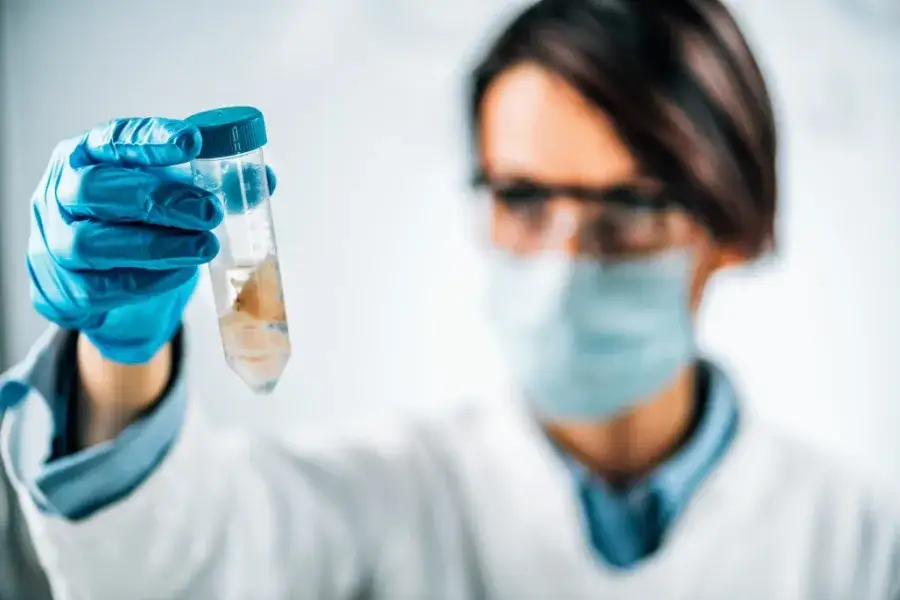 Zdjęcie Ocena sensoryczna żywności: Klucz do jakości i sukcesu produktów