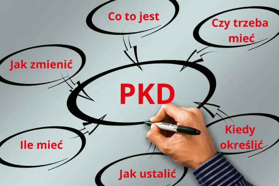 Zdjęcie Gdzie znaleźć nr PKD i EKD? Odkryj ważne informacje i źródła