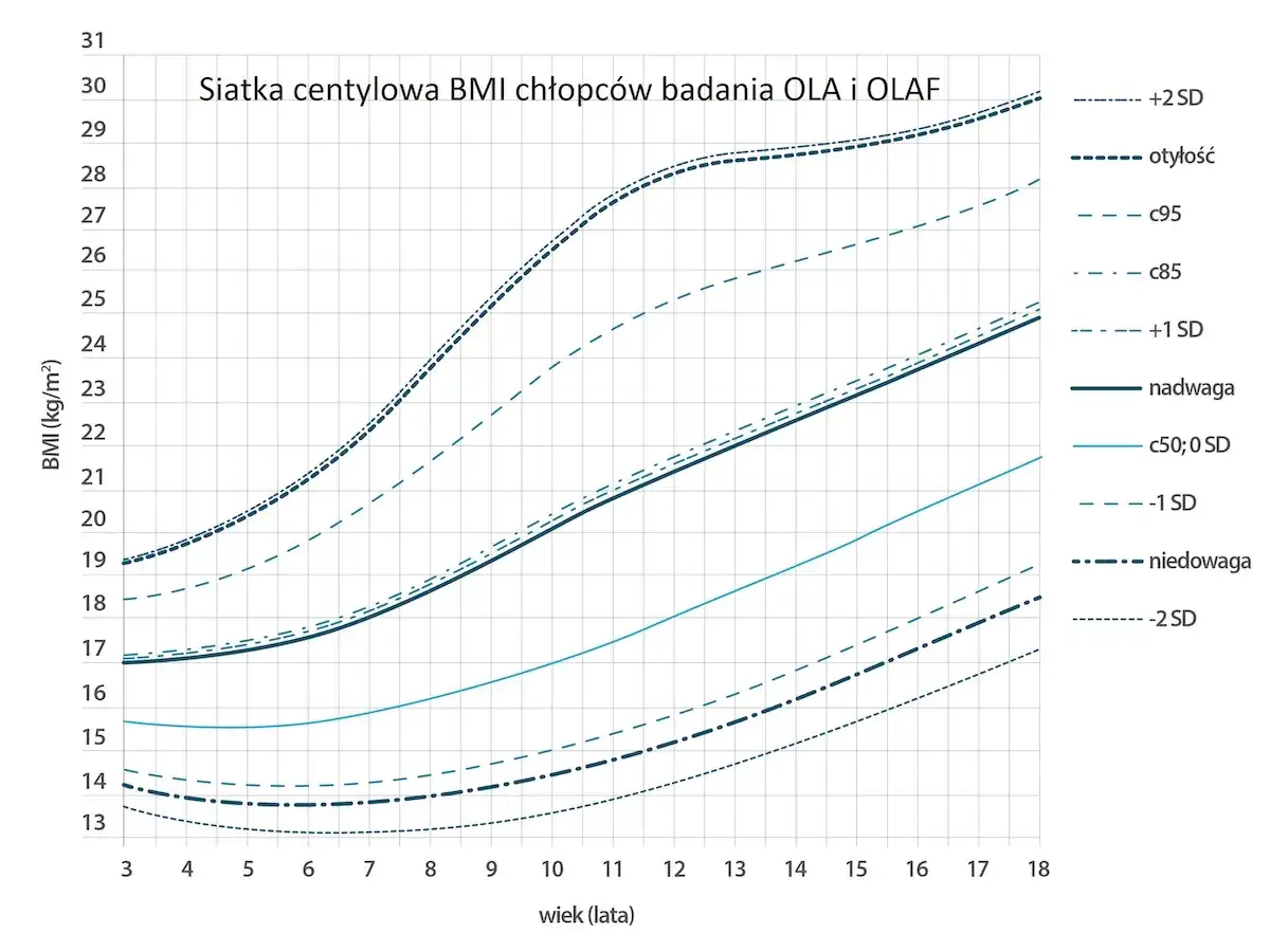 Zdjęcie Co to centyl BMI i jak wpływa na zdrowie dzieci i młodzieży?