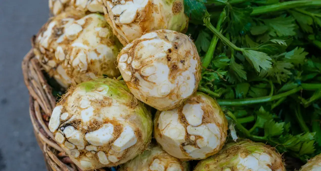 Zdjęcie Czy pies może jeść pietruszkę i seler? Bezpieczne porady dla zdrowia psa