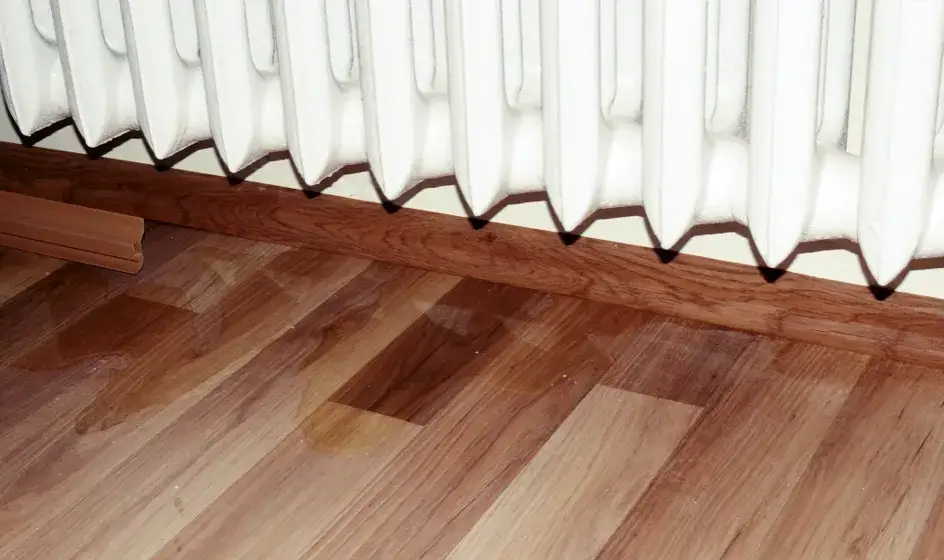 Zdjęcie Ile czasu na zgłoszenie zalania mieszkania? Nie przegap ważnych terminów