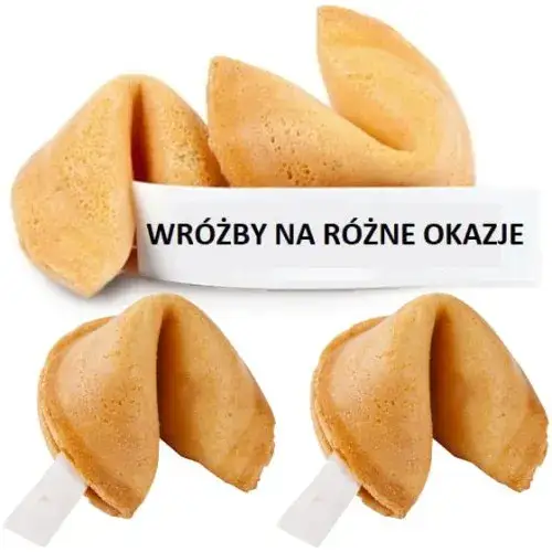 Zdjęcie Gdzie kupić ciastka z wróżbą? Sprawdź najlepsze miejsca i oferty