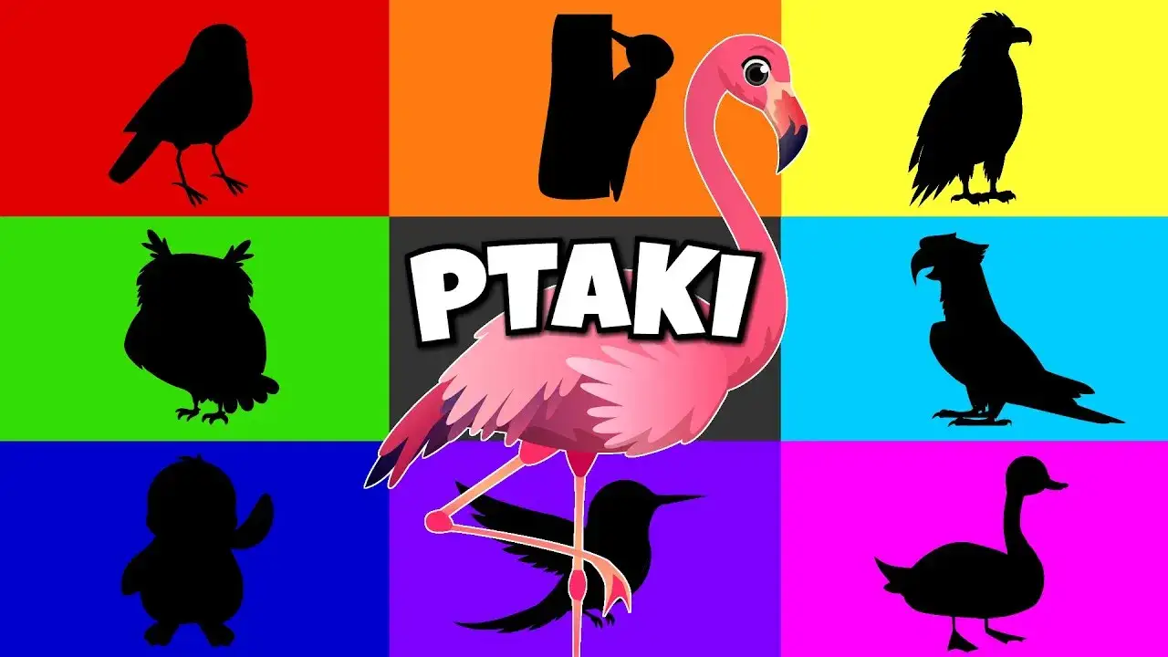 Zdjęcie Ciekawe filmy o ptakach dla dzieci, które uczą o ich zwyczajach