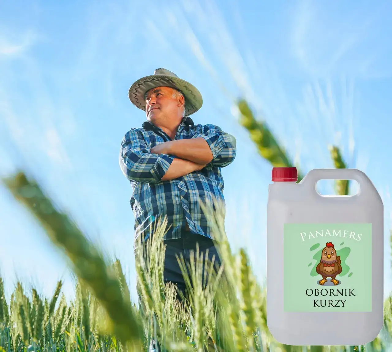 Zdjęcie Nawóz kurzy pod pomidory: Skuteczne odżywianie dla obfitych plonów