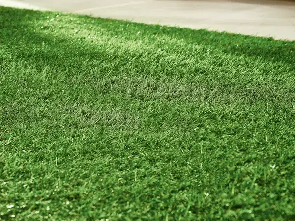 Zdjęcie Kiedy siać trawę? Wiosna czy jesień - poznaj najlepszy termin