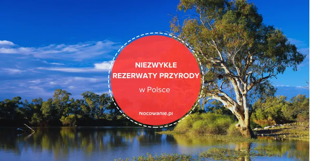 Zdjęcie Rezerwaty przyrody w Polsce: Odkryj ich niezwykłe piękno i ochronę