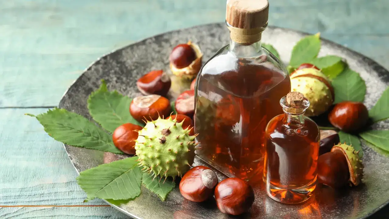Zdjęcie Nalewka z kasztana na co pomaga - poznaj jej niezwykłe właściwości zdrowotne