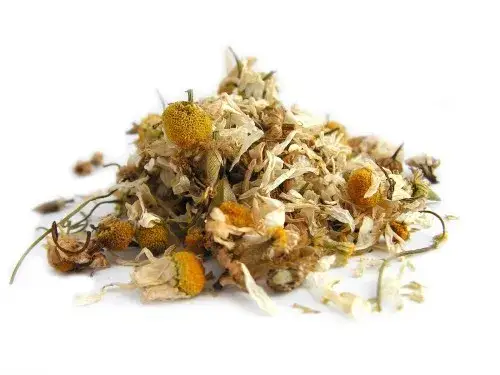 Zdjęcie Rumianek symbol jakiego kraju – odkryj jego niemieckie korzenie