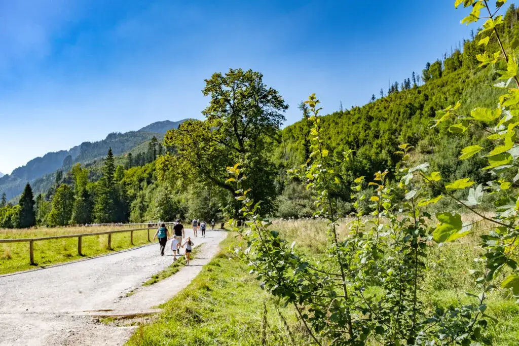 Zdjęcie Dolina Kościeliska z dzieckiem - najlepszy pomysł na pierwszą wycieczkę w Tatry