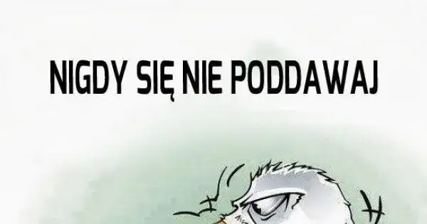 Zdjęcie Memy nigdy się nie poddawaj – inspiracja i motywacja w obrazkach