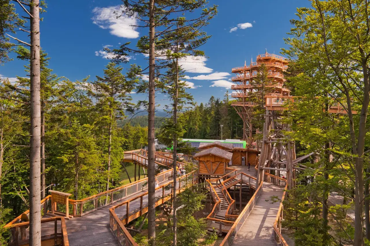 Zdjęcie Ile kosztują bilety na Górę Parkową? Sprawdzamy ceny na 2025!