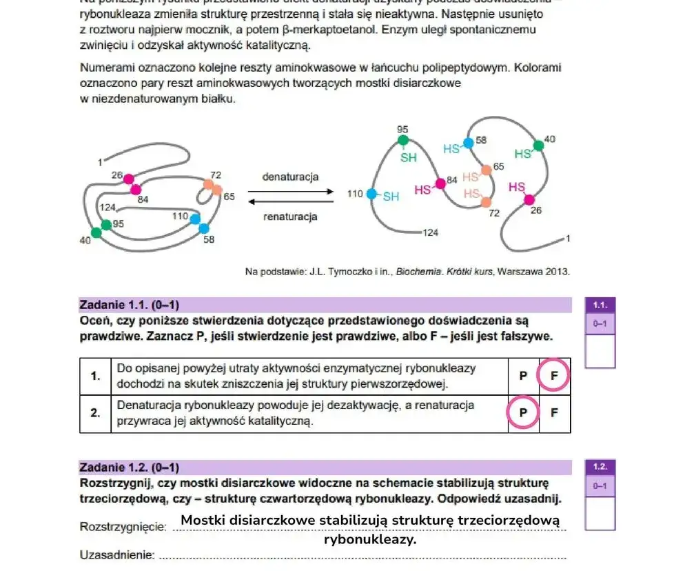 Zdjęcie Co jest najczęściej na maturze z biologii rozszerzonej? Kluczowe tematy i pytania